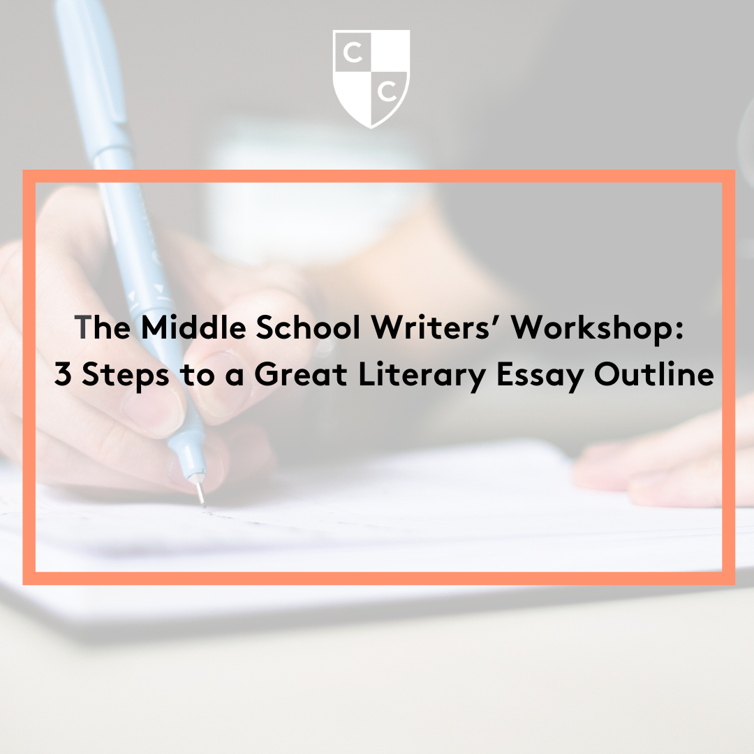 The Literary Essay | blogger.com